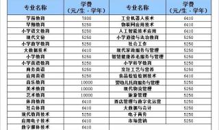 民办学校的学费一般多少钱